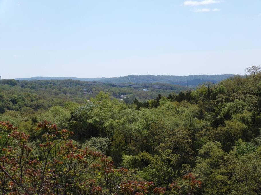 The Vista Appartamento Branson