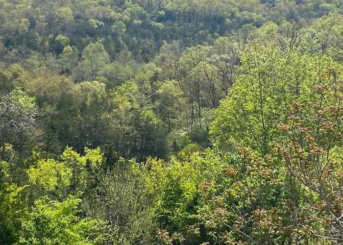 The Vista